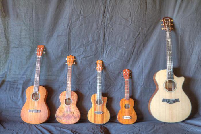 Какво трябва да знаете, за да настроите ukulele